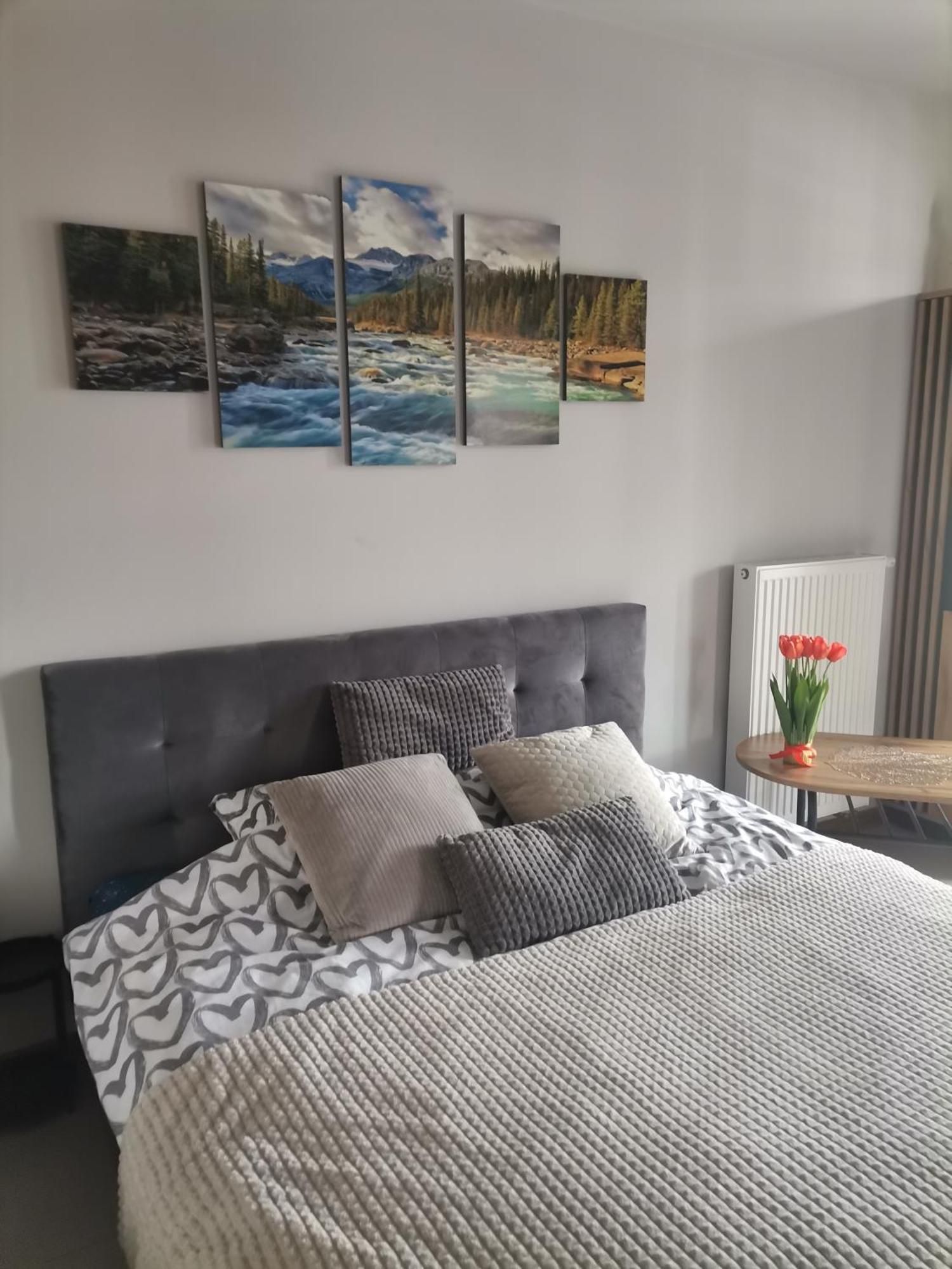 Apartament Gorska Szarotka Nowy Targ Exterior photo