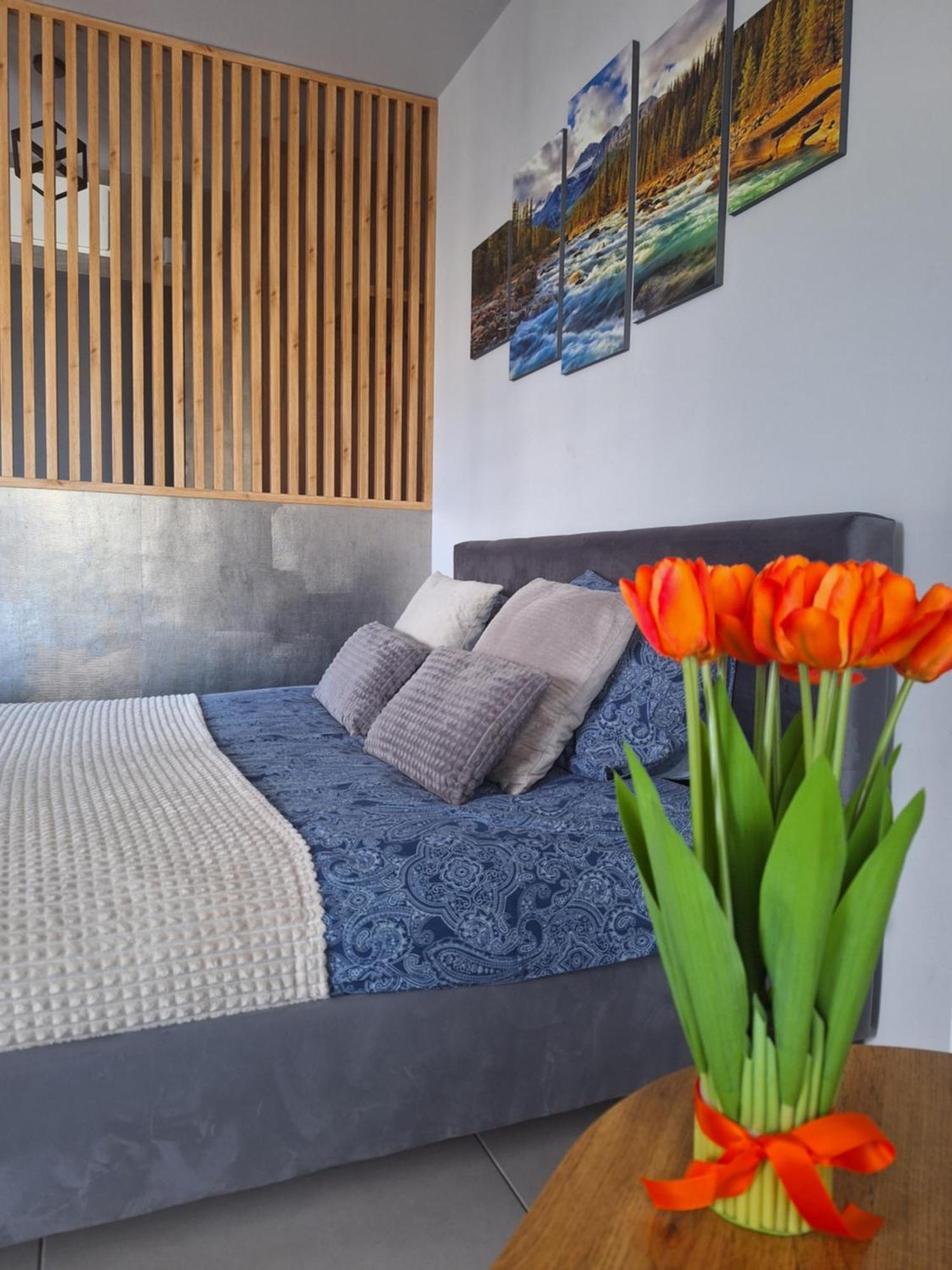 Apartament Gorska Szarotka Nowy Targ Exterior photo